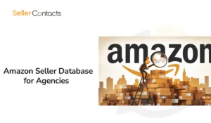 Read more about the article Amazon Seller Database for Agencies